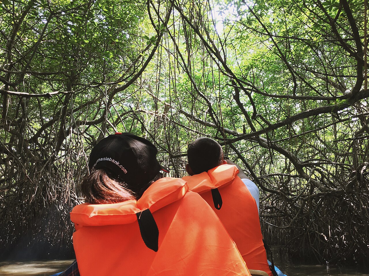 Mangroves, waterways & cinnamon