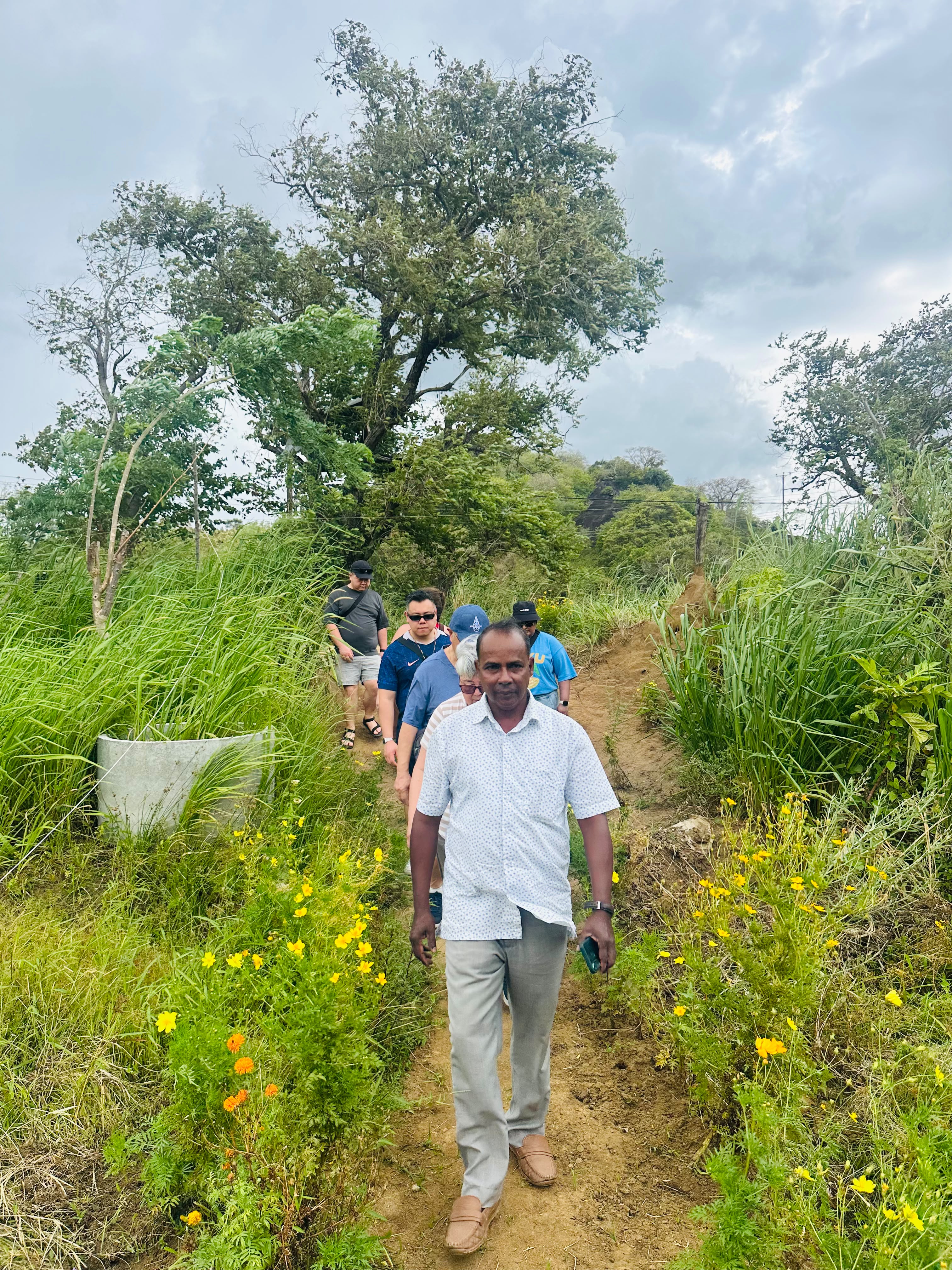 A countryside walk with travellers among green fields